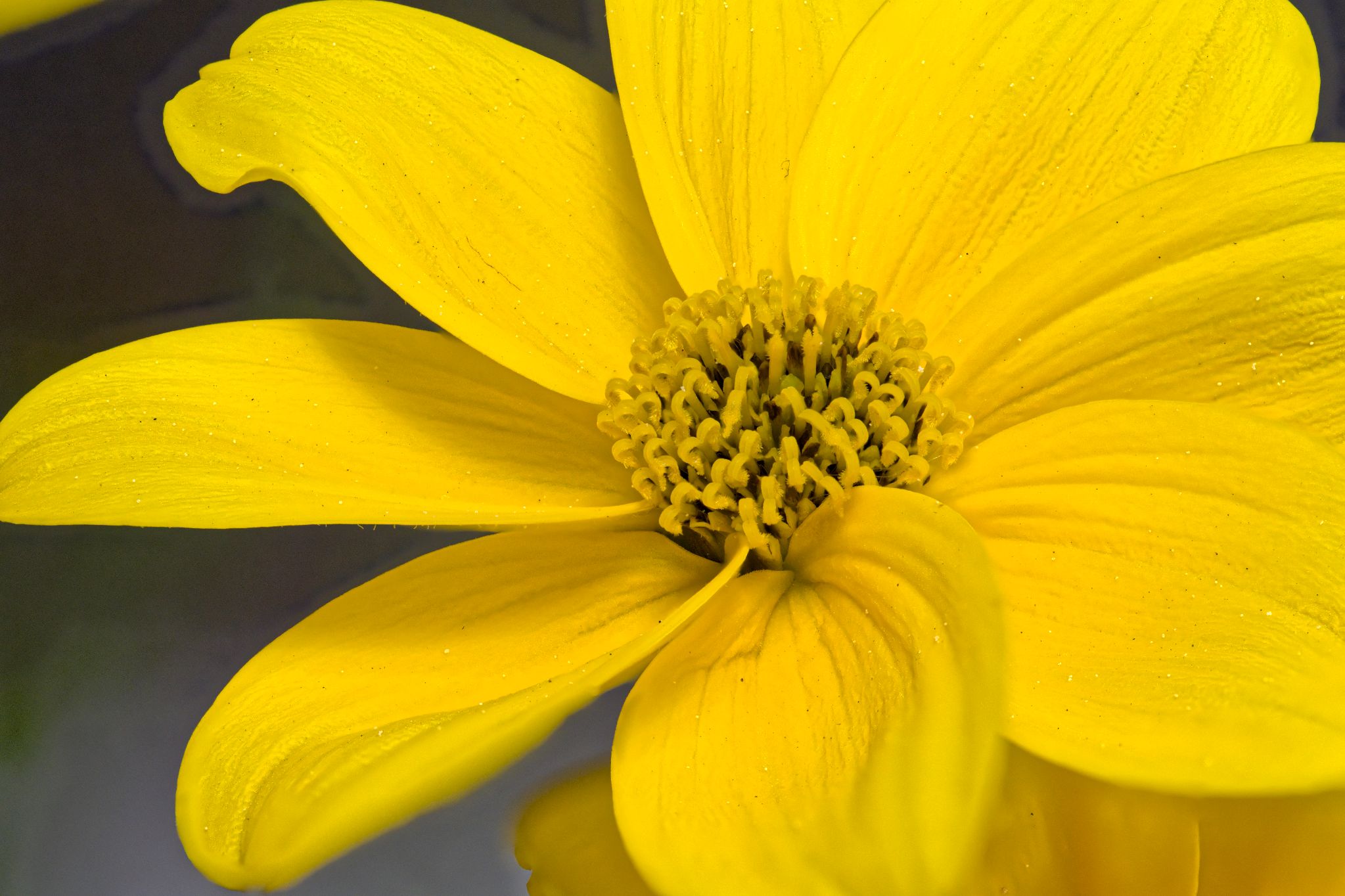 2022 05 07 18 23 08 (B,R8,S10)a